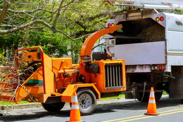Best Utility Line Clearance  in Pocatello, ID
